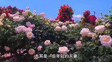 为什么老年夫妻喜欢分床睡？这样到底好不好？看完这三点你就明白