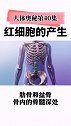 每天跟我涨知识 红细胞的身世之谜医学科普 健康dou起来