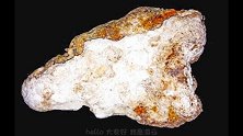 世上价值最高的粪便，捡到一块就能换车换房，身价也能提升十倍
