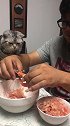 猫：铲屎的你该减肥了，虾就给我吃吧！