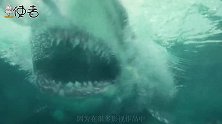 在地球上活了4亿年，鲨鱼开始“功能性灭绝”，人类是幕后黑手