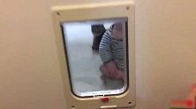 宝宝想从宠物门洞爬出去玩，结果太胖被卡住，妈妈笑了