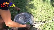 盐焗福寿螺：福寿螺熟食后再盐焗，味道很棒