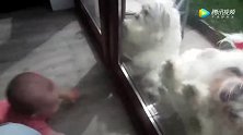 宝宝看狗狗进不来正幸灾乐祸，结果爸爸把门打开，宝宝遭殃了