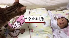 小宝宝刚到家，猫猫就围着宝宝打转，一直在嗅宝宝的味道