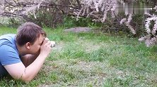 爱臭美的狗狗你太调皮了，把主人给耍的一愣一愣的