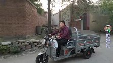 百年不遇好行情，倔媳妇和老公去集市上卖猪仔，全家人越抓越高兴