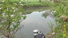 钓鱼：春雨过后鱼活跃了，鱼口也好了！