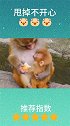 两只小猴子，人让它干什么它就干什么，就连喂孩子的姿势都一样