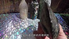 女子在蚌壳开出一堆珍珠，还有钻石这都是上哪捡的