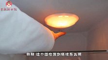 冰箱里“7个”数字怎么调？多亏电器师傅提醒，否则每月电费翻倍
