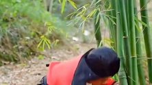 这一个深山老林中，遇到一个美貌姑娘，难道是妖精吗？