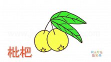 水果简笔画大全，画非常漂亮的枇杷简笔画