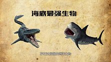 巨齿鲨遇到沧龙！到底谁才是海底最强，没想到输的这么惨