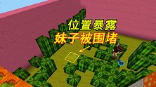 迷你世界：憨憨八哥找人着急，小墨告密小宇位置，妹子被围堵