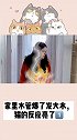 家里水管爆了全家都被淹了！猫在干嘛？萌宠嘉年华 你真好