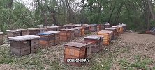 路过一个小蜂场，简单参观了一下，养蜂人也不容易啊