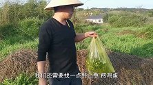 独居荒郊挖野菜充饥，全能小伙房车里炫厨艺