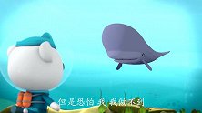 海底小纵队：小蒙害怕潜水，为了皮医生打破心里，还成了大英雄！