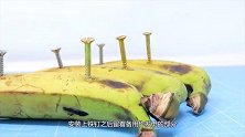 香蕉做成的充电线，这香蕉怕是要耗尽洪荒之力不能吃了！