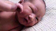 出生第2天的宝宝，攥起拳来吃自己的手，看着好香！