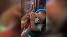 宝宝接爸妈回家，妈妈张开双臂，接下来宝宝的反应让妈妈超傻眼