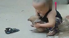 狗子：小主人，你能不能矜持一点我从了你还不行吗