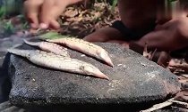 7岁男孩荒野生存,用石板烤鱼,吃树叶!网友城里娃很羡慕!