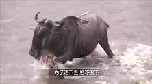 湖边水花四溅，渔夫走近一看，扭头跑开了！