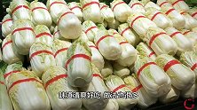 大白菜上“小黑点”是什么？这种白菜能不能吃？今天总算明白了