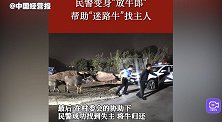 民警变身放牛郎帮迷路牛找主人