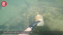 水下沉船上发现宝箱，打开全是“古金币”，花都花不完！