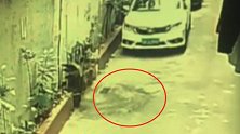 广东广州：整辆车臭了！连续2天遭高空抛粪，一看监控