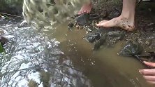 情侣在野溪出水口放置小地笼，大半天之后，收获真让人意外！