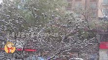 对于雪 你是喜欢还是讨厌呢 不管怎样 照顾好自己