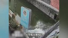 把河当成“泳池”？浙江一男子醉酒后跳河，爬上岸又跳下！
