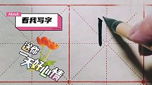 精美的视频效果，流畅的书写技巧，让你赏心悦目！：