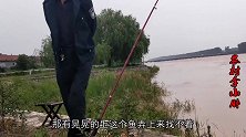 黄河泄洪涨水，大爷钓鱼憋坏了，突然窜出大翘嘴激动坏了