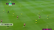 贝德纳雷克 英超 2019/2020 诺维奇 VS 南安普顿 精彩集锦