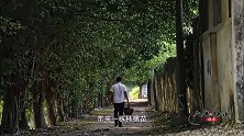 老广的味道：一颗小树苗，百年时间改变了一个地区