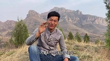 小伙去太行山找奇石，耗时一整天终于发现，看到这品相大喊：值了