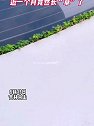 吉林白山：车后备箱夹缝被吹进入柳絮，发芽长出了一排绿植