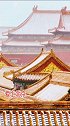 爱上北京   故宫，金碧辉煌，宛如一部宏伟的民族交响乐让人荡气回肠。故宫博物院