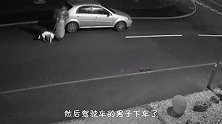 男子趁夜色驱车将狗狗扔下，狗狗急的团团转，男子的行为令人气愤