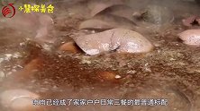小伙子卖卤猪头，10多年都不换汤，直言：这样味道才正宗