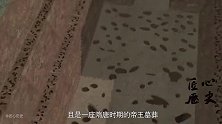 农田发现罕见大墓，明明不是风水宝地，墓室主人却是一朝太子？