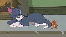 《新猫和老鼠》汤姆的温柔让小老鼠不自在，汤姆快些恢复吧！