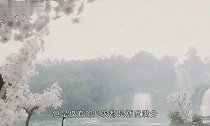 赵丽颖与冯绍峰出游,小细节暴露夫妻关系,很有老夫老妻的感觉!