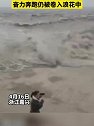 浙江嘉兴：危险！女子观潮拍视频被卷入浪花