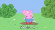 小猪佩奇：佩奇的金雨靴，被鸭太太偷，飞快的离开作案现场！